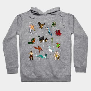Dungeons and Dragons Hoodie
